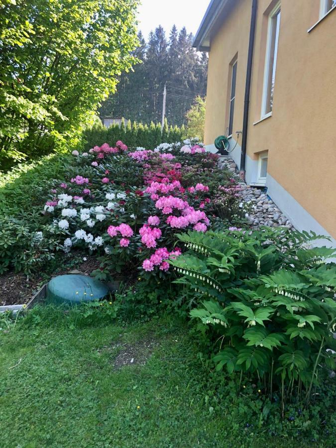 Am Wildbach Bei Passau Saming Exterior foto