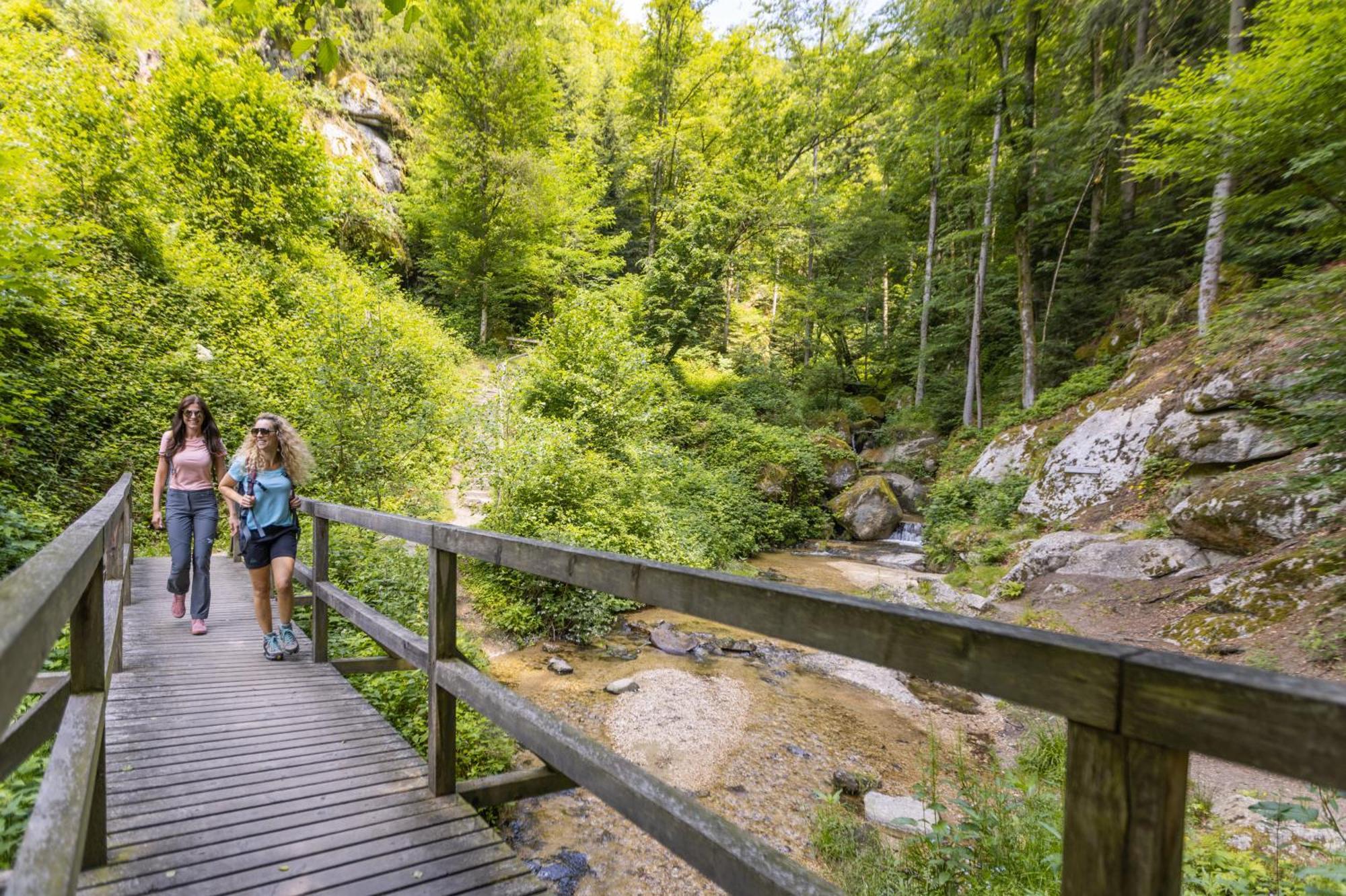 Am Wildbach Bei Passau Saming Exterior foto
