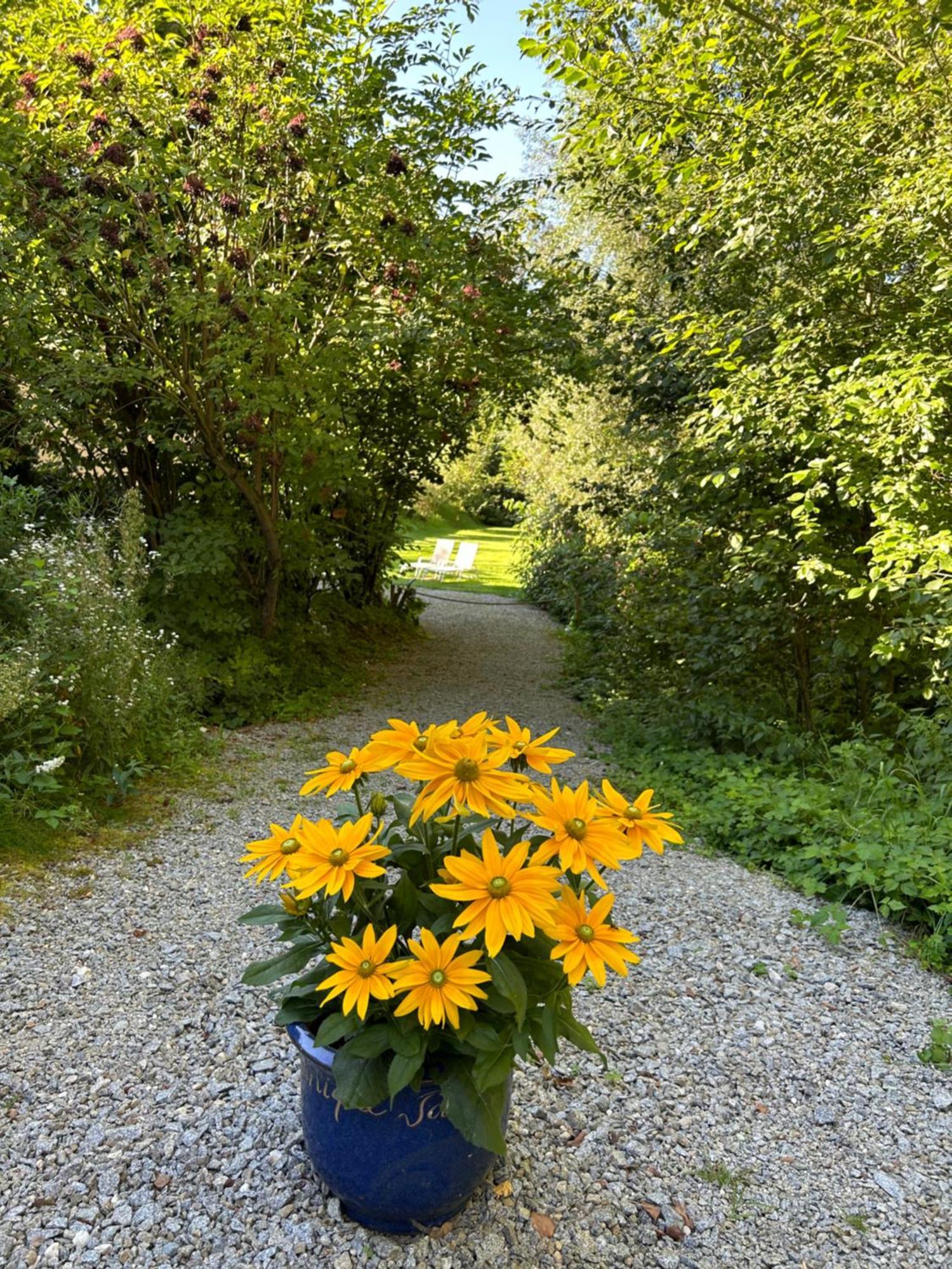 Am Wildbach Bei Passau Saming Exterior foto